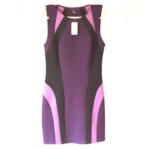 NWT Forever 21 Color Block Dress